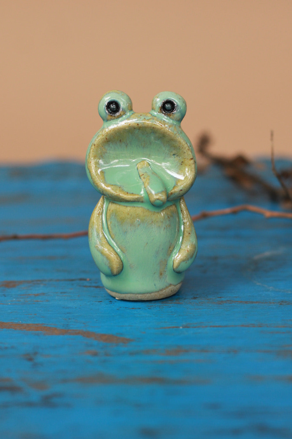 Mrudgandh | Ceramic Frog