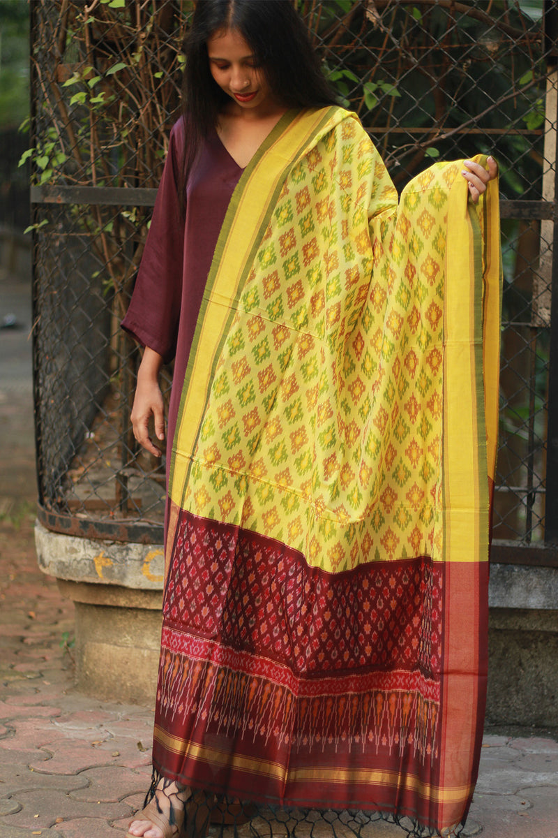 Dupatta | Cotton Silk Ikkat