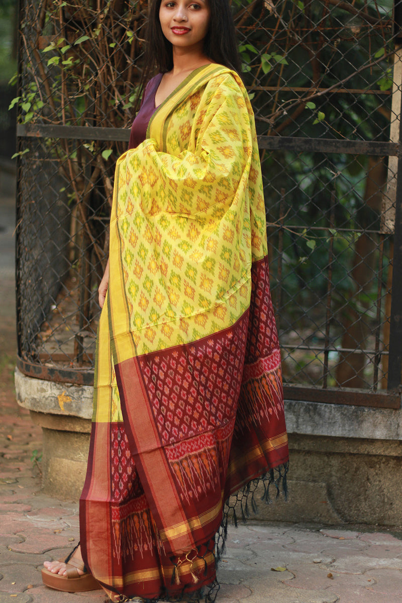 Dupatta | Cotton Silk Ikkat