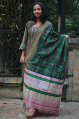 Dupatta | Cotton Silk Ikkat