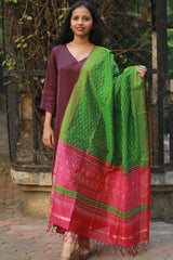Dupatta | Cotton Silk Ikkat