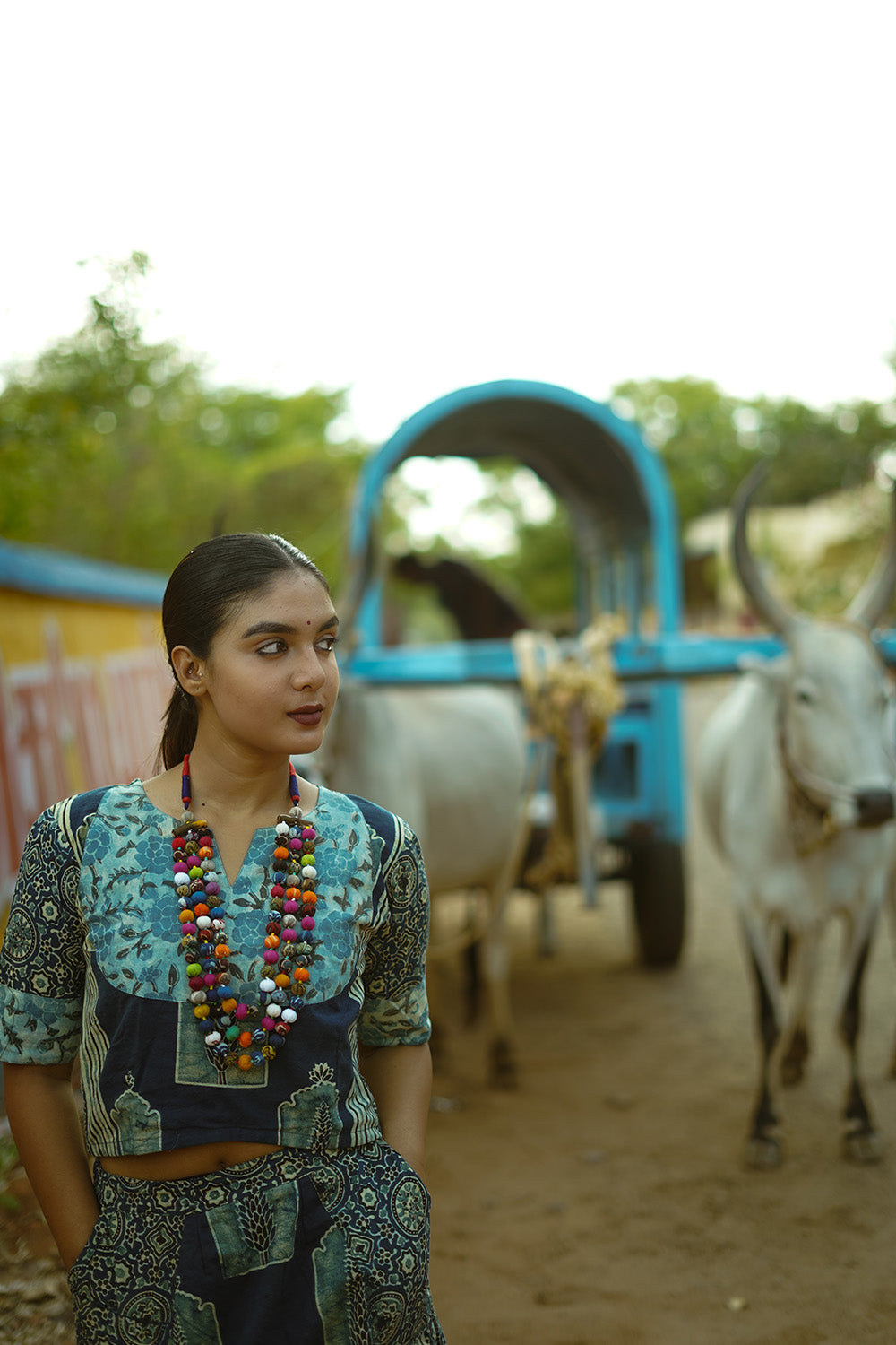 Choli Blouse | Indigo Ajrakh