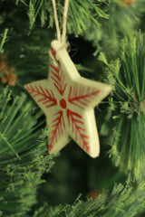 Mrudgandh | Ceramic Star Ornament