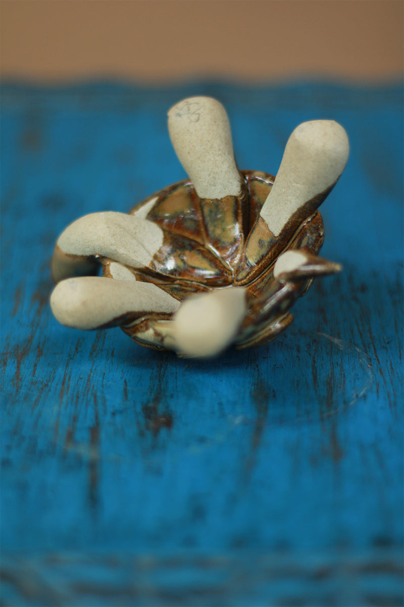 Mrudgandh | Ceramic Turtle Big