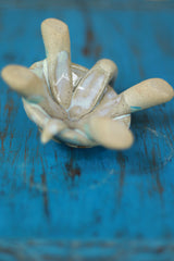 Mrudgandh | Ceramic Turtle Big