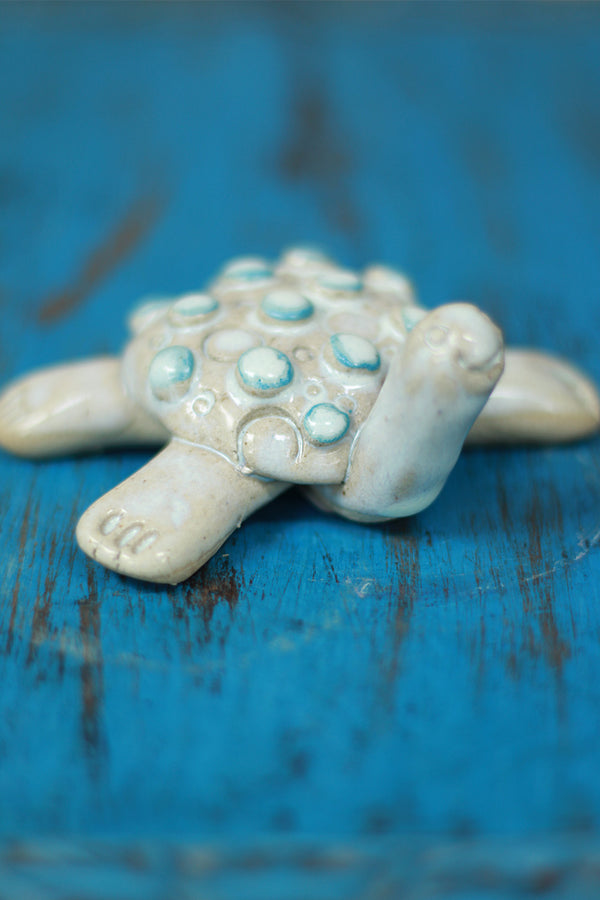 Mrudgandh | Ceramic Turtle Small
