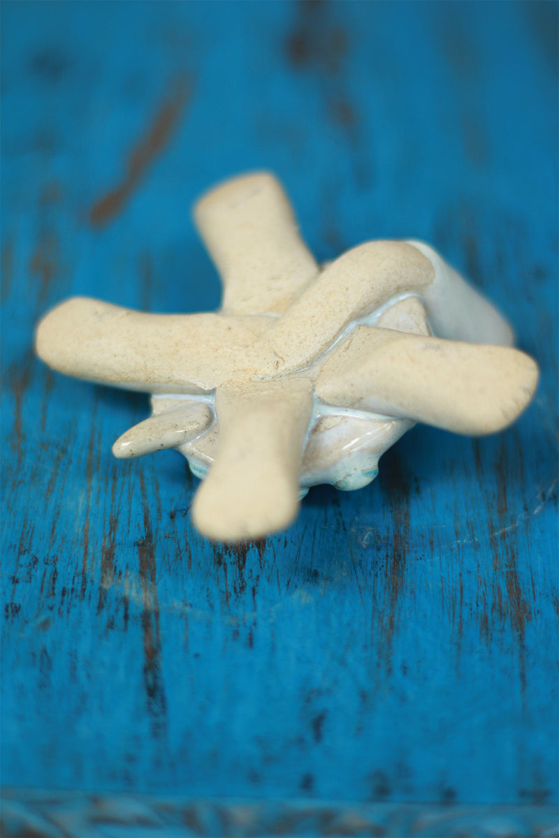 Mrudgandh | Ceramic Turtle Small