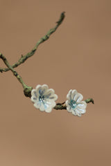 Sadhvi | Ceramic  Flower Earrings | Ivory