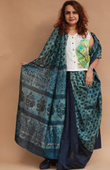 Rangg | Patli Pallu Saree | Chanderi & Mul |  Indigo